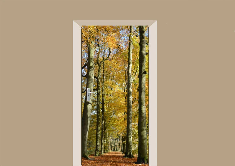 Deursticker Herfst In Het Bos 1 Deursticker Herfst In Het Bos