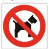 Pictogram Sticker Verboden Voor Honden (10x10cm)