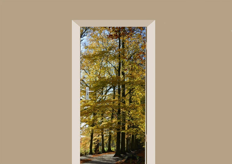 Deursticker Beuken In De Herfst 1 Deursticker Beuken In De Herfst