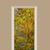 Deursticker Herfst Bladeren