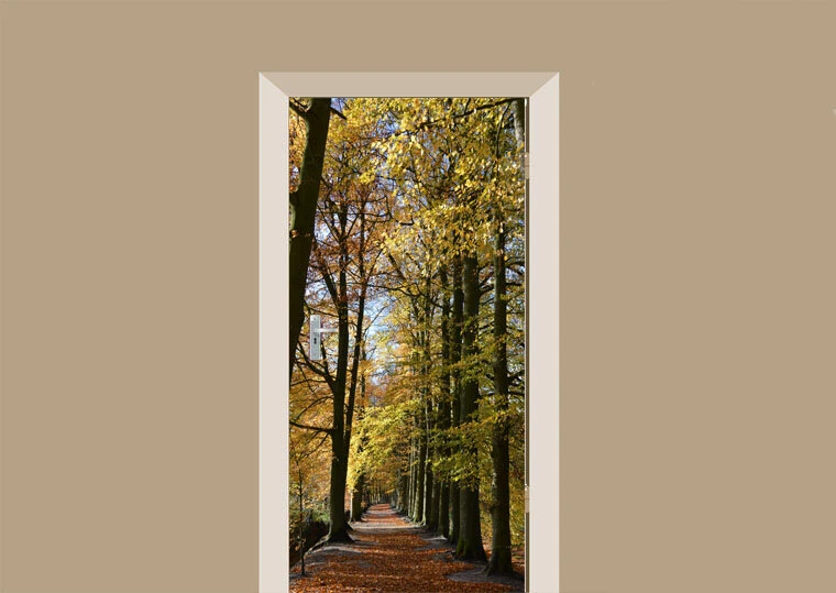 Deursticker Beukenpad 1 Deursticker Beukenpad