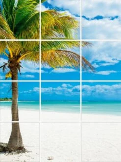 Foto Tegelsticker 15x15 'Palmboom' 60x45 Cm Hxb