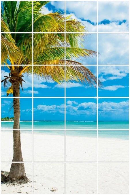 Foto Tegelsticker 15x15 'Palmboom' 90x60 Cm Hxb 1 Foto Tegelsticker 15x15 'Palmboom' 90x60 Cm Hxb