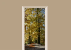 Deursticker Oude Beukenbomen