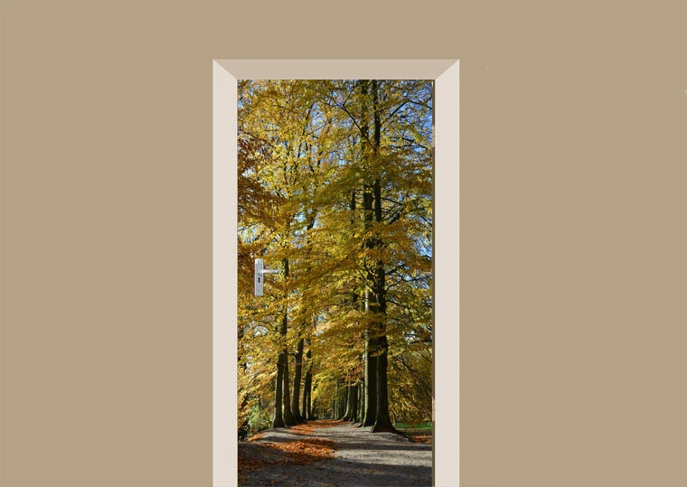 Deursticker Oude Beukenbomen 1 Deursticker Oude Beukenbomen